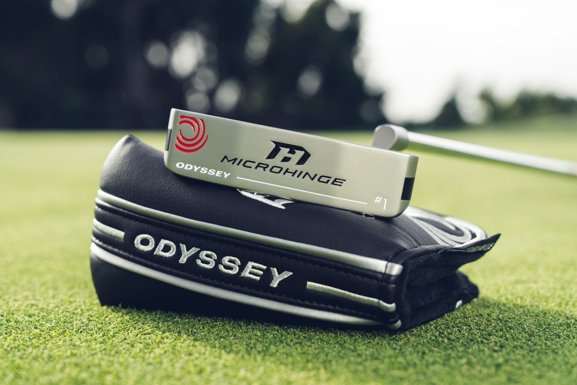 Odyssey Microhinge 1 Putter | Golf Galaxy